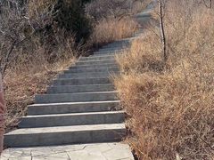 -北京西山国家森林公园