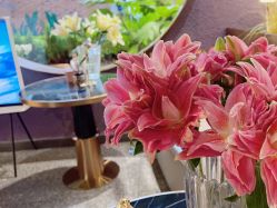 -花隐·美芙炫海菲秀皮肤管理中心