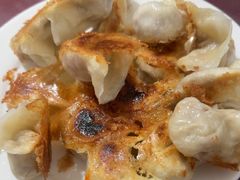 -东门饺子馆(少年宫路店)