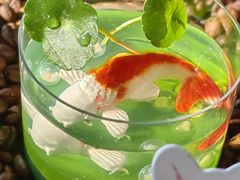-逸廊大堂吧-下午茶·简餐-千岛湖自由洲际殿