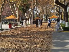 -西安交通大学(雁塔校区)