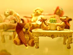 -济州岛泰迪熊博物馆