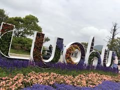 -梧桐山风景名胜区