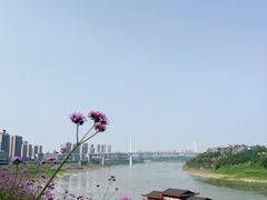 -石井坡(地铁站)