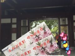 -南汇桃花村