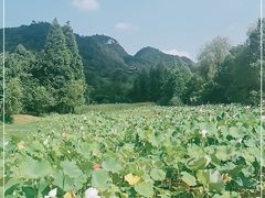 -贵阳市花溪国家城市湿地公园