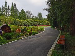 -东平国家森林公园