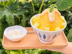 -悦见花开·花园里的火锅·露营·下午茶