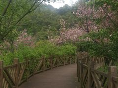 -贵阳市花溪国家城市湿地公园