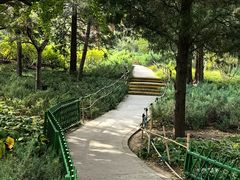 -宣武艺园
