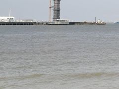 -吴淞炮台湾湿地森林公园烧烤区