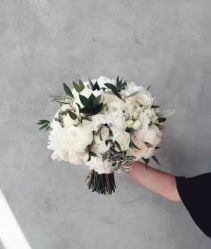 -索菲亚摄影会所