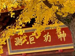 -上海青龙寺