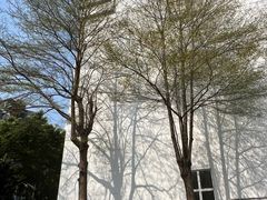 -麦当劳(花园城中心店)
