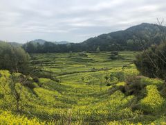 -灵山景区梯田