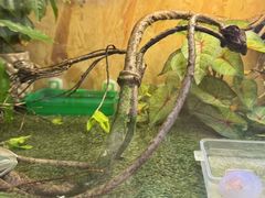 -Rabbit Cafe私房西餐甜点咖啡(栖霞路店)