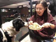 -百好乐宠物友好餐厅(朝外大街店)