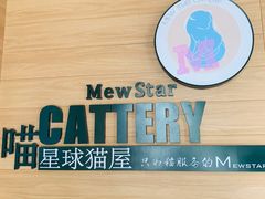 -CAT’S MEWSTAR CAFE·喵星球猫屋(晴湾咖啡店)