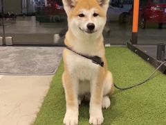 -YCHL Studios健身工作室(市二宫店)