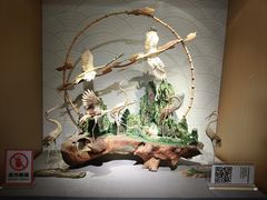 -橘子洲景区