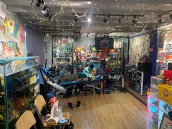 -MDZ STORE·TATTOO·耳饰