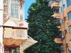 -喜柿咖啡SeeS coffee