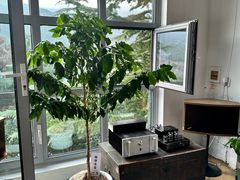 -休门咖啡(黄泥崖店)