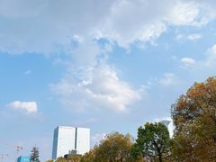 -艾溪湖湿地公园