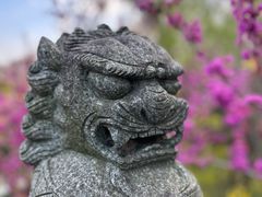 -南汇桃花村