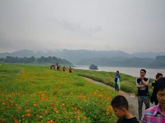 景点-木洞河街