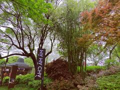 -MAMACHA妈妈茶(岳麓山店)