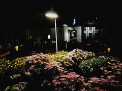 -瓦库茶馆17号(海汇港店)