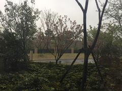-红豆杉庄会议中心