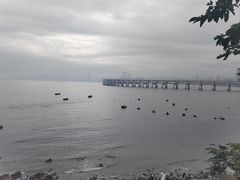 -星海湾跨海大桥