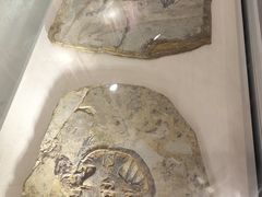 -辽宁古生物博物馆
