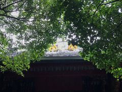 -蒋氏故居