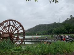 -顺峰山公园