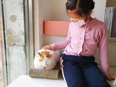 -平行世界·猫咖(首经贸店)