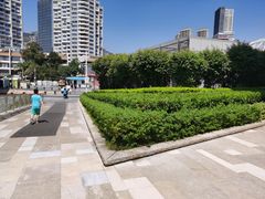 -船说茶点粤菜(海上世界店)