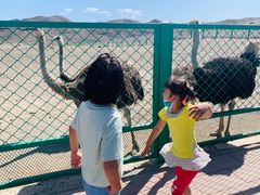 -新疆天山野生动物园