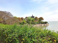 -贡湖湾湿地公园