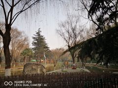 -西安市长乐公园