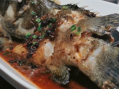 豉汁蒸老虎斑-徐记海鲜(曲江南湖店)