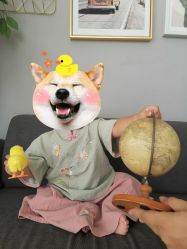 -小鬼当佳儿童摄影(通州外拍店)