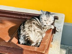 -龙华寺