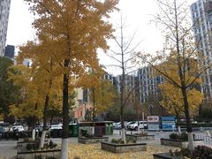 -华彬眼镜专业渐进配镜(潘家园店)