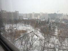 -西安国际创新人才交流中心•药浴温泉