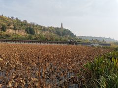 -渭南桃花源民俗文化园