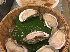 -雅枫国际酒店—枫叶自助餐(福田店)