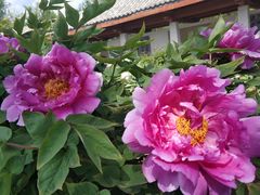-廊坊市自然公园